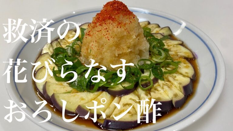 社会に疲れたので大急ぎで花びらなすおろしポン酢に救済を求めた🍆