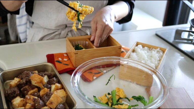 【お弁当作り】これは作りたくなる！ひき肉サイコロ厚揚げステーキ弁当bento＃754