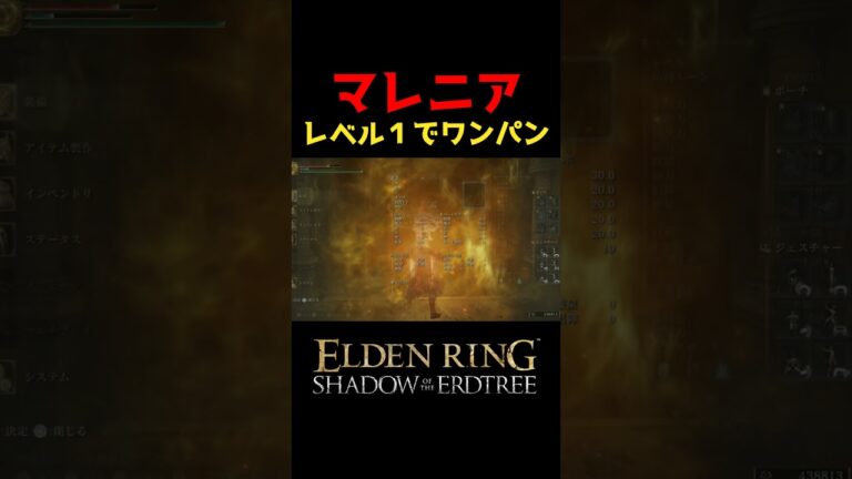 マレニアをレベル１でワンパンしてみた #エルデンリング  #eldenring