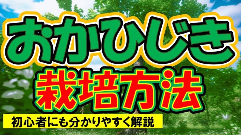 【おかひじき栽培方法】初心者必見！害虫被害が少なく育てやすい！【0から農業塾】