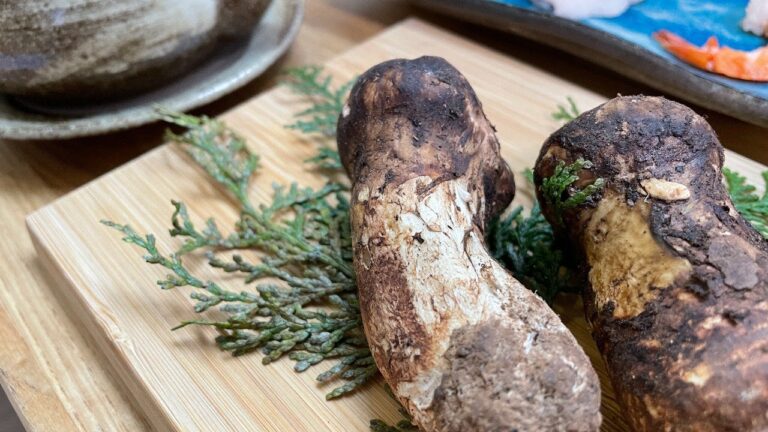 [VLOG]（簡単レシピ付き）旬の松茸で土瓶蒸しを作ってみた。鱧も入ってる豪華版です。〜旅手箱編集長　和食通への道