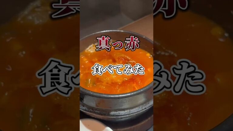 キムチチゲ食べてみた  #辛いもの #激辛 #虚無顔 #飯テロ #仙台グルメ #宮城グルメ #キムチチゲ #韓国 #おいしい #食べる #short #韓国料理 #長寿韓酒房