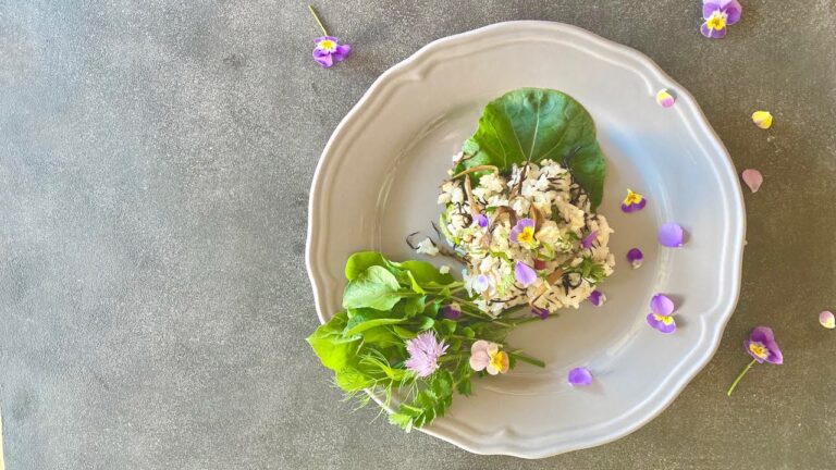 ひじきと牛蒡のきんぴら散らし Hijiki&Burdock Rice