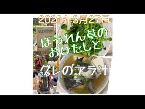 ほうれん草のおひたしとグレのアラ汁