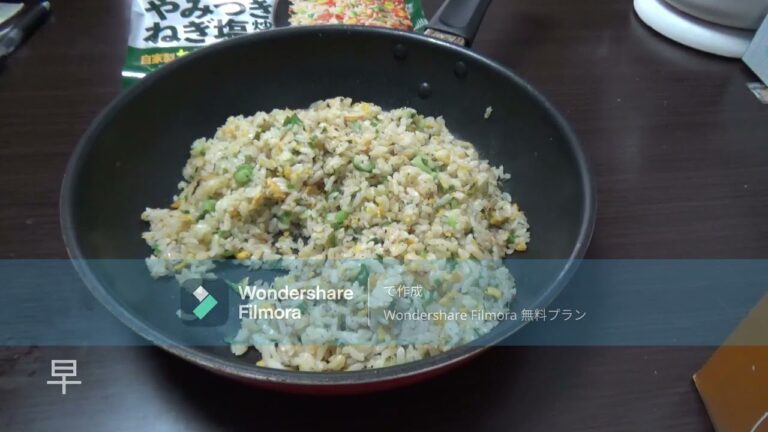 【冷凍チャーハン】ニチレイやみつきねぎ塩チャーハン【ずぼらレポ】