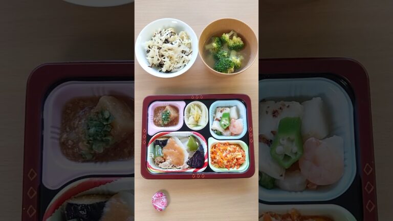 「豚肉と茄子の味噌炒め」弁当です。