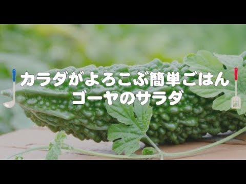 カラダがよろこぶ簡単ごはん　ゴーヤサラダ編
