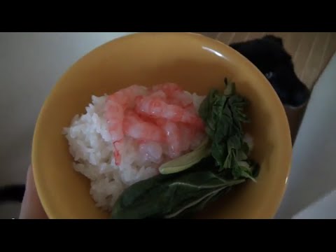 犬ご飯：今日はエビ祭りだ！わっしょい！