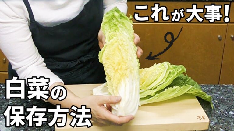 白菜の保存方法と選び方の極意！意外なポイントを全てお話します！