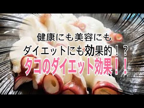 1分半でわかる！？　オススメダイエット食材！！　タコのダイエット効果について！！