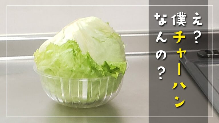 手抜きでボリューミー レタスチャーハンともずくスープ【簡単レシピ】