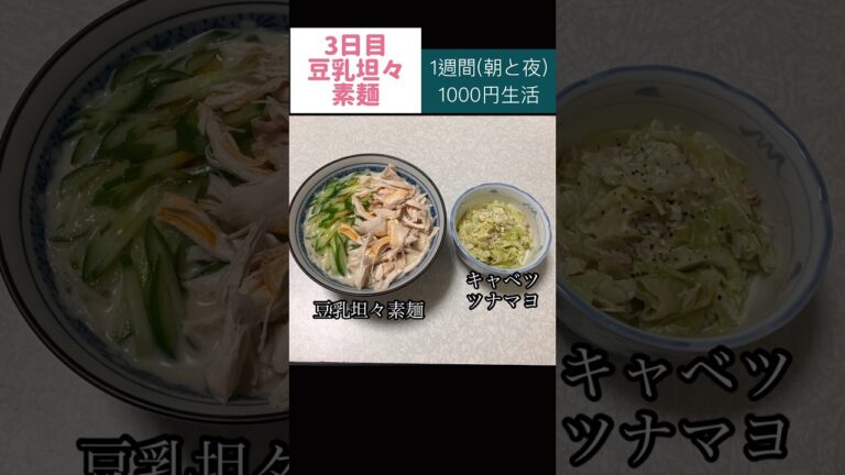 豆乳坦々素麺#そうめん #節約#料理#ごはん#1人暮らし#自炊#食事#節約生活#レシピ#献立#簡単#1週間#1000円 #副菜 #作り置き #電子レンジ#shorts