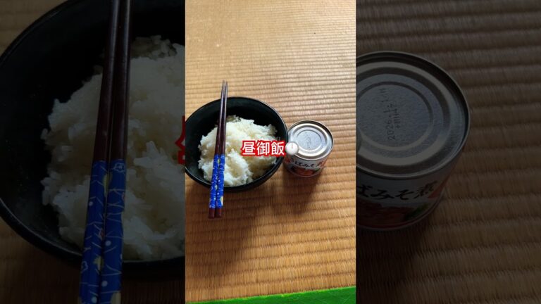 ご飯🍚、サバ味噌煮