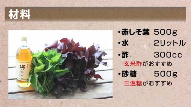 赤しそジュースの作り方