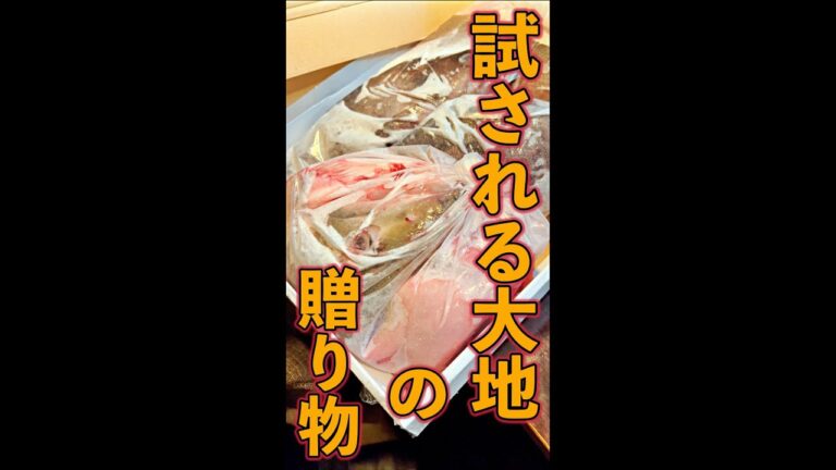 北の大地の贈り物　#Shorts　#北海道　#鮭　#ソイ　#簡単　#料理　#レシピ