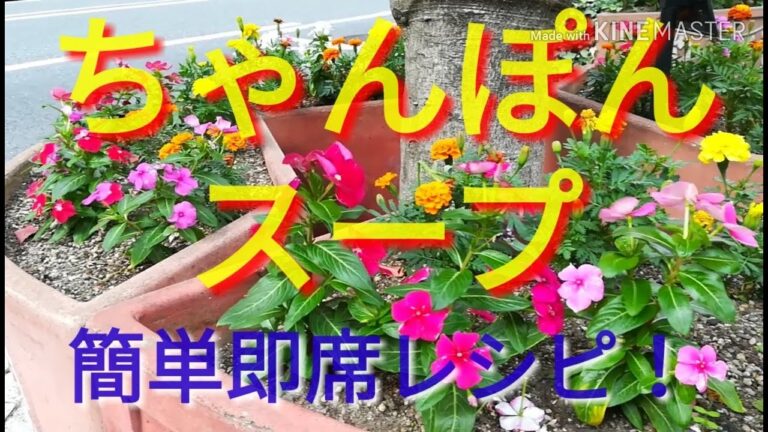 【本物そっくりレシピがやばい！面白くて笑える】ちゃんぽんスープ