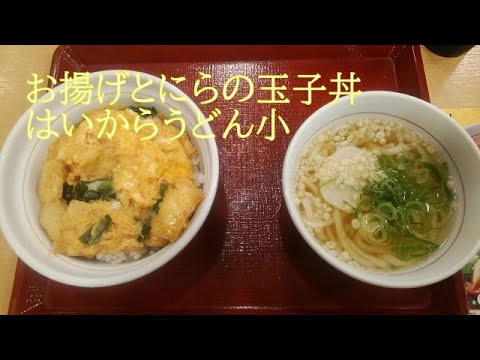 ○お揚げとにらの玉子丼○はいからうどん 【なか卯】朝ごはん