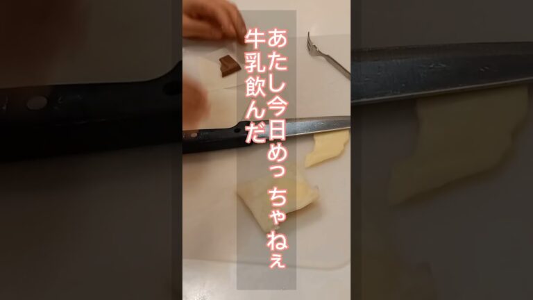春巻きの皮、餃子の皮にチーズやチョコレート入れたら美味しい　#shorts