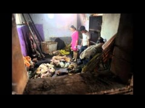 【閲覧注意】 中国産うなぎのこわさ【拡散希望】