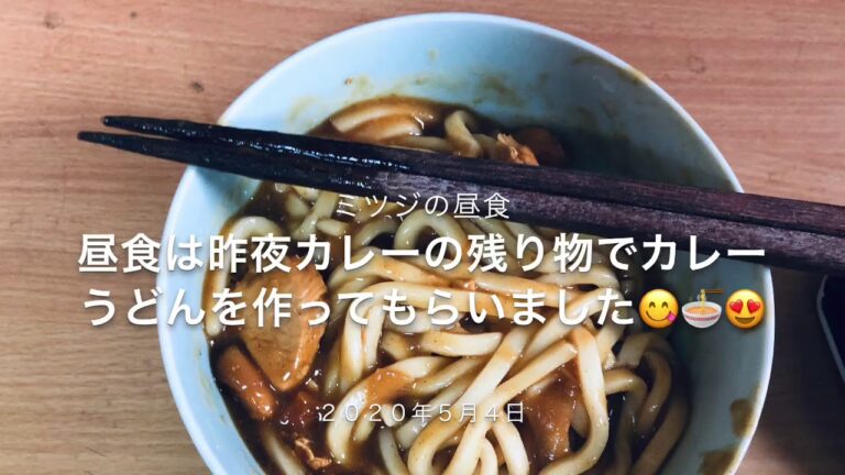ミツジの昼食　昨夜残り物カレーでカレーうどんを作ってもらい食べます😋🍜