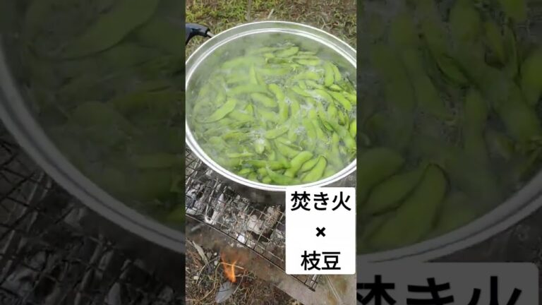 朝採り枝豆の塩茹で。#焚き火　#した処理　#枝豆