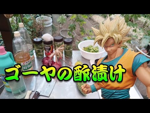 ゴーヤの酢漬けを作る【独身男の日常】玉ねぎの酢漬け【家庭菜園料理】