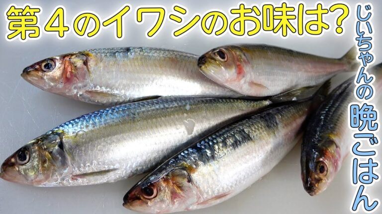 【爺ちゃんの晩御飯】第４のイワシ「○○○○イワシ」でつみれ汁と蒲焼を作ったよ！