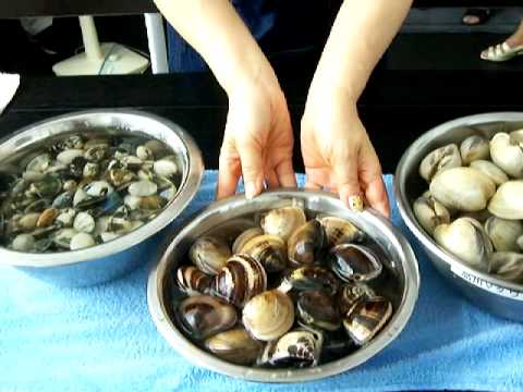 東京湾を綺麗にする,江戸前食材で作るランチパーティ