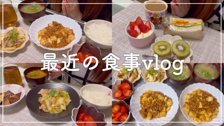 【最近の食事vlog】中華な気分の自炊記録｜平日の仕事終わり【料理ルーティン】