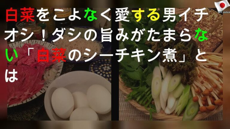 白菜好きがイチオシする鍋レシピ