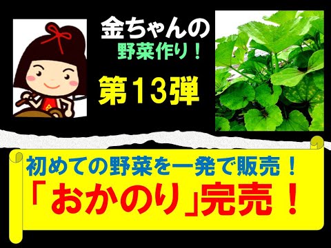 おかのり完売　珍しい野菜の販売はこれだ！　【金ちゃんの野菜作り第１３弾】