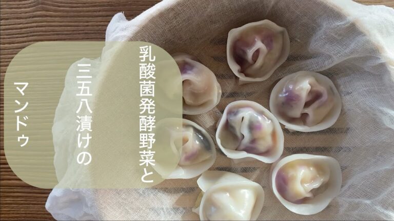 【発酵マンドゥ 만두】〜乳酸菌発酵野菜と三五八漬けの韓国蒸し餃子〜