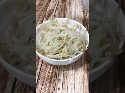 【混ぜ混ぜ】ピリ辛もやしナムルで晩酌　こだわり酒場のレモンサワー #Shorts