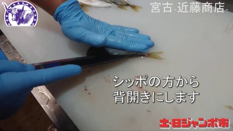 アジフライ用の捌き方実演会 -宮古 近藤商店-