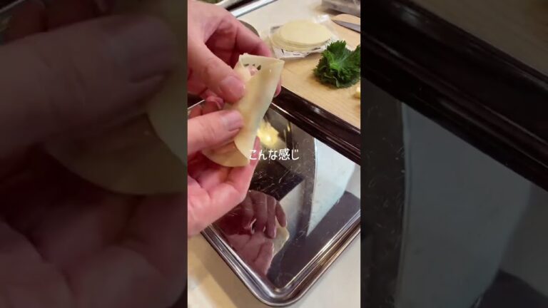 【レシピ】餃子の皮を巻くだけでできる簡単餃子！🥹#shorts #料理 #2人暮らし