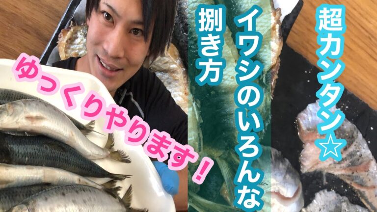魚屋がゆっくり実演☆イワシの色々な捌き方三枚おろし、手開き、腹開き