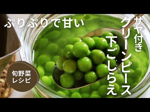 【旬野菜レシピ】甘くて、ぷりぷりほくほく！生グリーンピースの下ごしらえ
