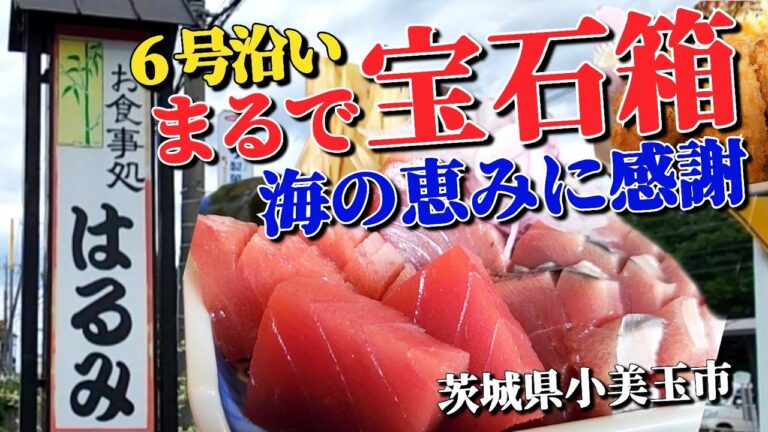 国道6号線沿い!!【お食事処 はるみ】●マグロ・カツオが新鮮!!  カキフライはサクサククリーミー!!  今回も大満足!! ◎茨城県小美玉市