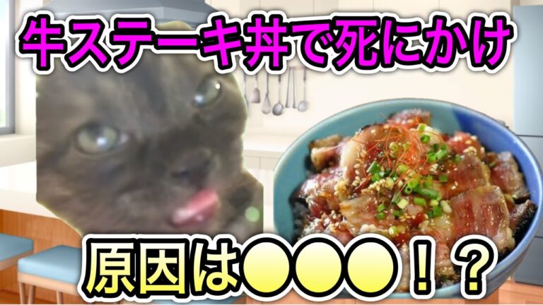 牛ステーキ丼を食べて死にかけた話#猫ミーム
