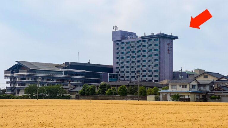 年間１０万人が訪れる温泉旅館厨房の凄腕料理人たちがマジ最強すぎた丨Japanese buffet: Kaiseki cuisine