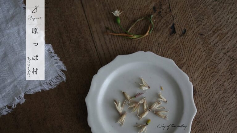 { 村暮らしvlog } 夏の手しごとカラダが喜ぶ しそジュース作り | 村で花を買ってみた | 村暮らし子供の習慣〜野草を摘んで猫とフラワーウォーター作り