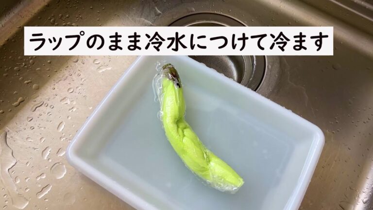 【簡単レシピ＃6】レンジで3分♪夏に食べたい！簡単蒸しナス