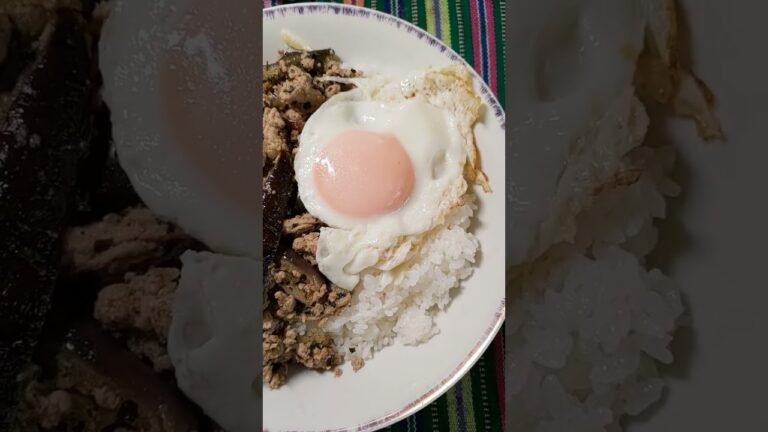 【初ガパオ】ピーマンやパプリカがなかったのでナスを代用してガパオライスを作ったので食べていきます