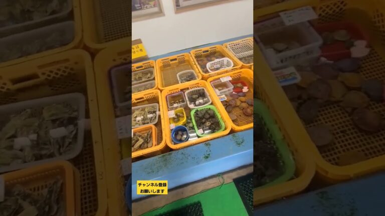 桃の節句は『はまぐり』！お吸い物ではなく焼きで楽しみました。