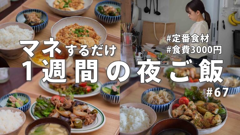 【1週間献立】3000円で作る節約晩ご飯｜定番食材で作る簡単夜ご飯おかず#67