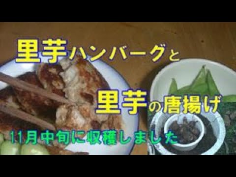 里芋ハンバーグと里芋の唐揚げ
