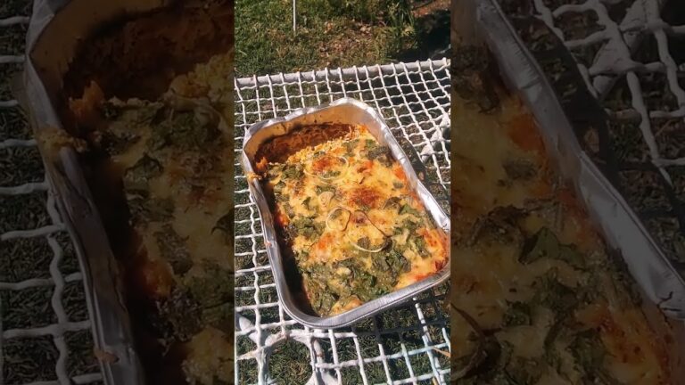 butternut and caramelized  onions quiche with  garden herbs and weeds +spinach