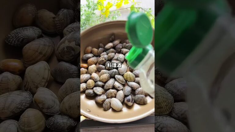 高たんぱく低カロリー【あさりの酒蒸し】簡単すぎ砂抜 #あさり #簡単レシピ #ズボラダイエット#管理栄養士 #shorts