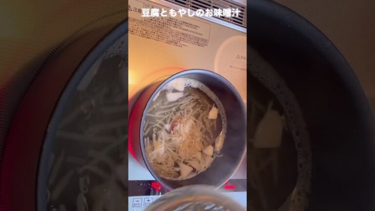 今日の晩ご飯　豆腐ともやしのお味噌汁　#とうふ #もやし #お味噌汁