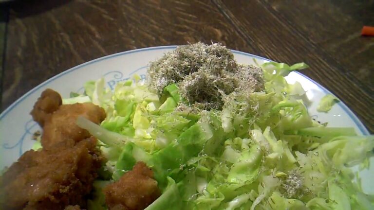 とろろ昆布をかけ隊　キャベツに黒とろろ昆布　低カロリー
